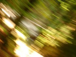2013-07-20_Regina-F-Rau_Kochel-Rabenkopf (156).JPG